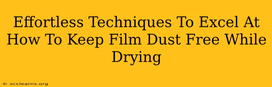 Effortless Techniques To Excel At How To Keep Film Dust Free While Drying