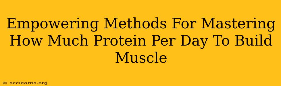 Empowering Methods For Mastering How Much Protein Per Day To Build Muscle