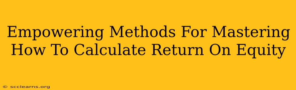 Empowering Methods For Mastering How To Calculate Return On Equity