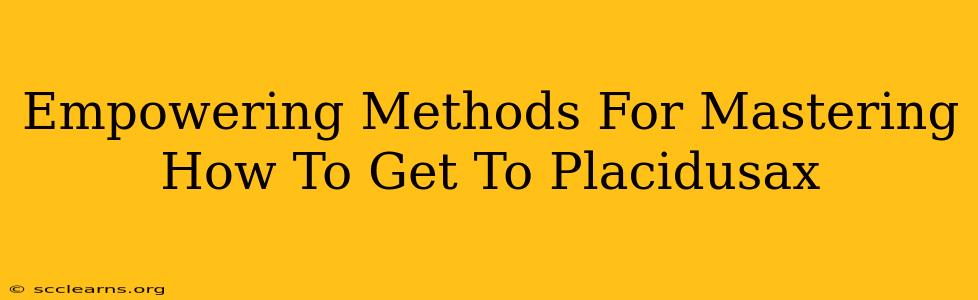 Empowering Methods For Mastering How To Get To Placidusax