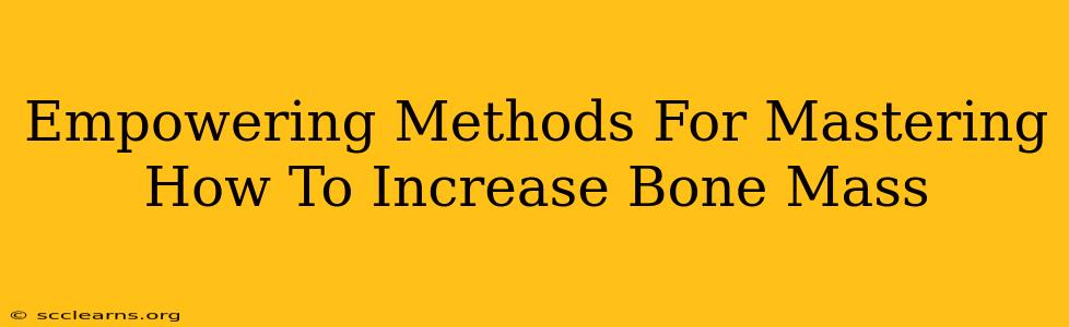 Empowering Methods For Mastering How To Increase Bone Mass