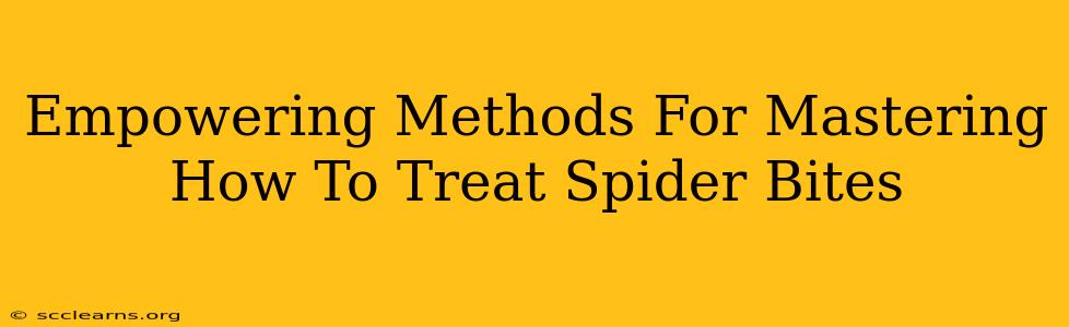 Empowering Methods For Mastering How To Treat Spider Bites