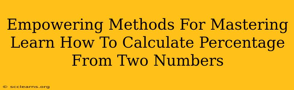 Empowering Methods For Mastering Learn How To Calculate Percentage From Two Numbers