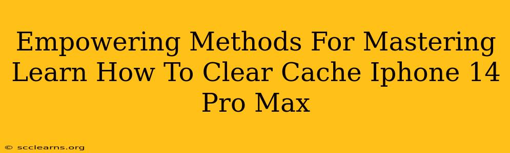 Empowering Methods For Mastering Learn How To Clear Cache Iphone 14 Pro Max