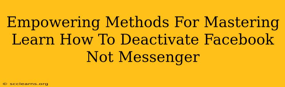 Empowering Methods For Mastering Learn How To Deactivate Facebook Not Messenger