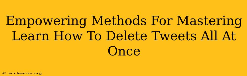 Empowering Methods For Mastering Learn How To Delete Tweets All At Once