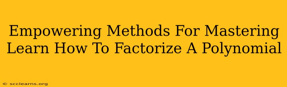 Empowering Methods For Mastering Learn How To Factorize A Polynomial