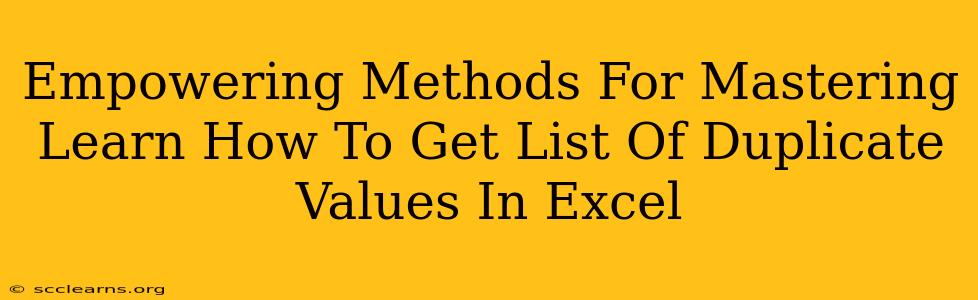 Empowering Methods For Mastering Learn How To Get List Of Duplicate Values In Excel