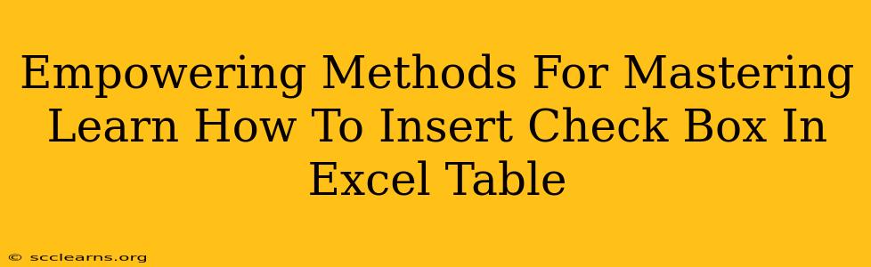 Empowering Methods For Mastering Learn How To Insert Check Box In Excel Table