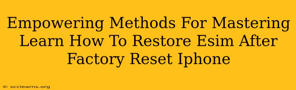 Empowering Methods For Mastering Learn How To Restore Esim After Factory Reset Iphone