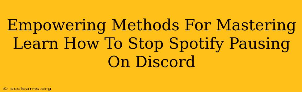 Empowering Methods For Mastering Learn How To Stop Spotify Pausing On Discord