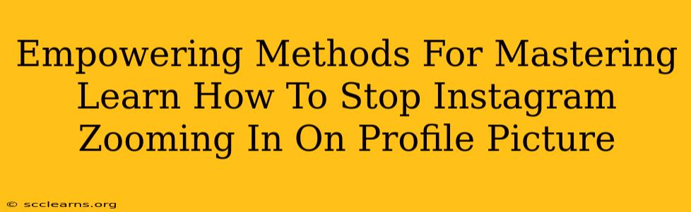 Empowering Methods For Mastering Learn How To Stop Instagram Zooming In On Profile Picture