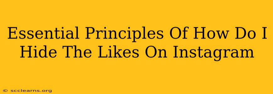 Essential Principles Of How Do I Hide The Likes On Instagram