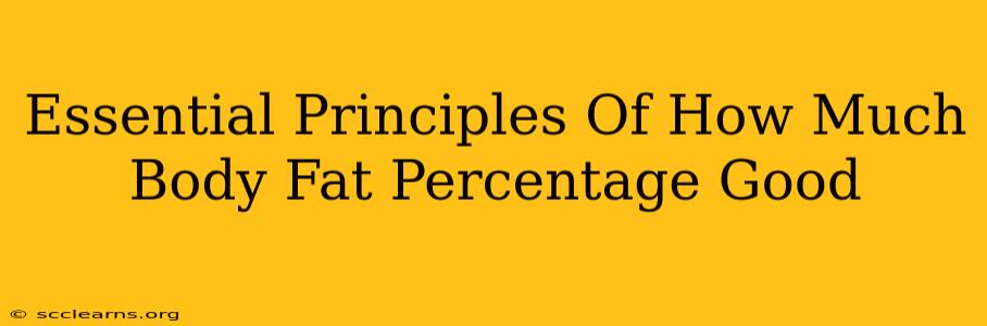 Essential Principles Of How Much Body Fat Percentage Good