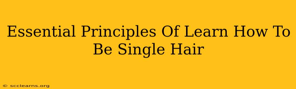 Essential Principles Of Learn How To Be Single Hair