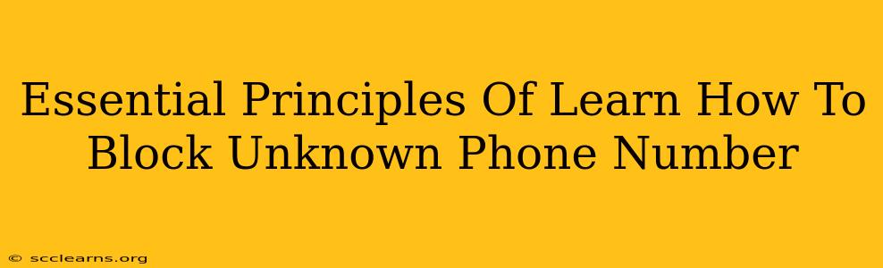 Essential Principles Of Learn How To Block Unknown Phone Number