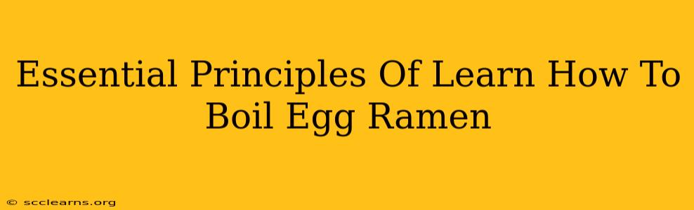 Essential Principles Of Learn How To Boil Egg Ramen