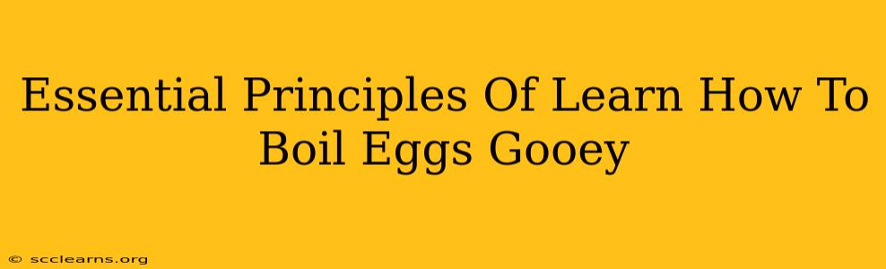 Essential Principles Of Learn How To Boil Eggs Gooey