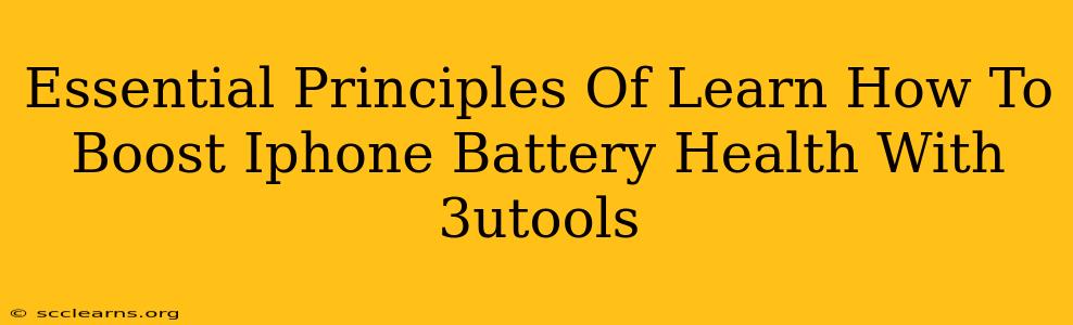 Essential Principles Of Learn How To Boost Iphone Battery Health With 3utools