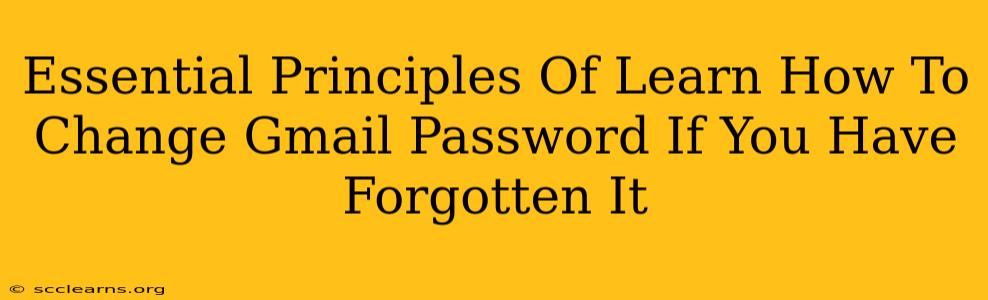 Essential Principles Of Learn How To Change Gmail Password If You Have Forgotten It