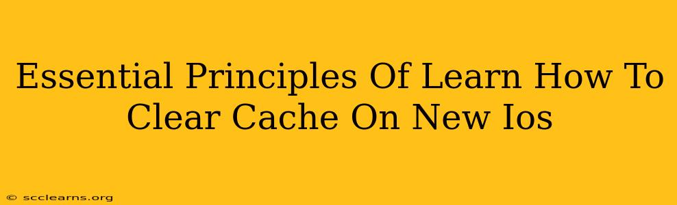 Essential Principles Of Learn How To Clear Cache On New Ios