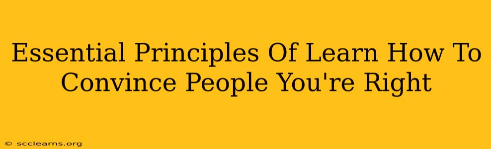 Essential Principles Of Learn How To Convince People You're Right