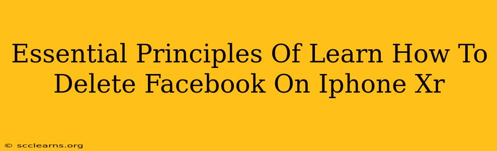 Essential Principles Of Learn How To Delete Facebook On Iphone Xr