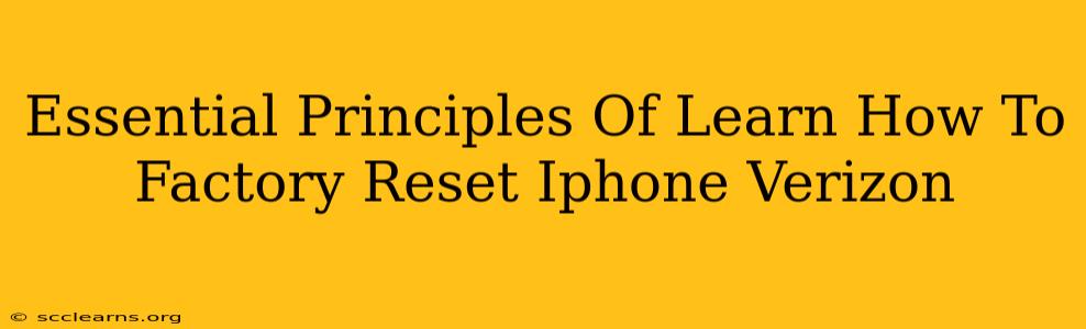 Essential Principles Of Learn How To Factory Reset Iphone Verizon