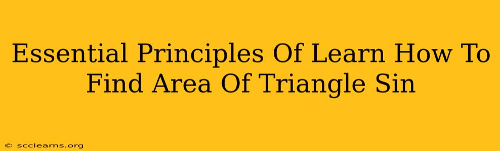 Essential Principles Of Learn How To Find Area Of Triangle Sin