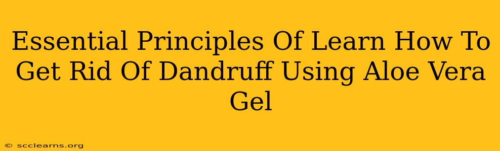 Essential Principles Of Learn How To Get Rid Of Dandruff Using Aloe Vera Gel