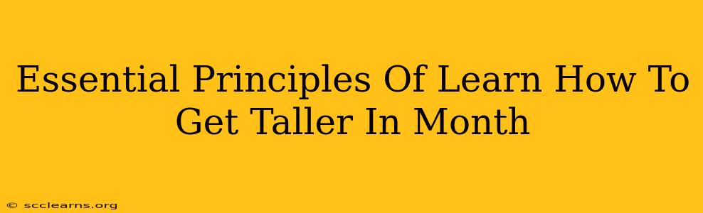 Essential Principles Of Learn How To Get Taller In Month