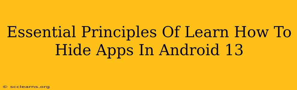 Essential Principles Of Learn How To Hide Apps In Android 13