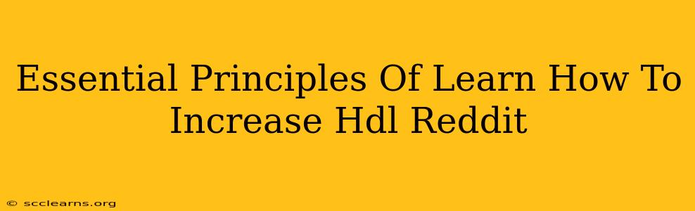 Essential Principles Of Learn How To Increase Hdl Reddit