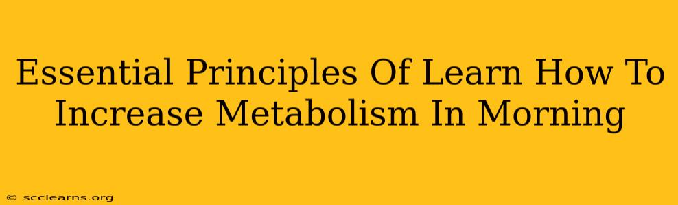 Essential Principles Of Learn How To Increase Metabolism In Morning