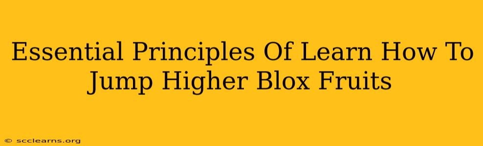 Essential Principles Of Learn How To Jump Higher Blox Fruits