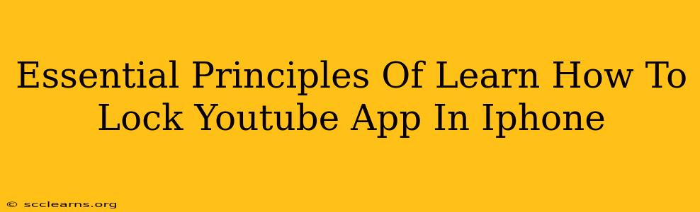 Essential Principles Of Learn How To Lock Youtube App In Iphone