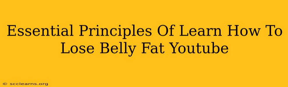 Essential Principles Of Learn How To Lose Belly Fat Youtube