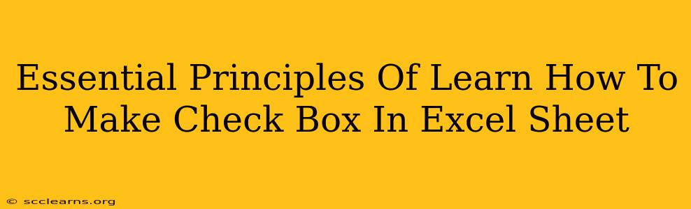 Essential Principles Of Learn How To Make Check Box In Excel Sheet