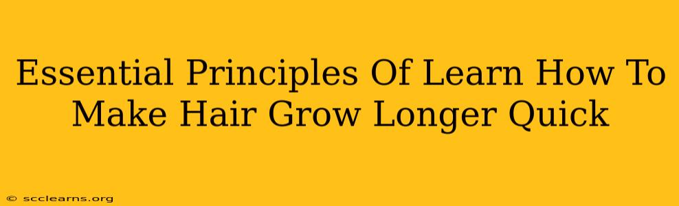 Essential Principles Of Learn How To Make Hair Grow Longer Quick