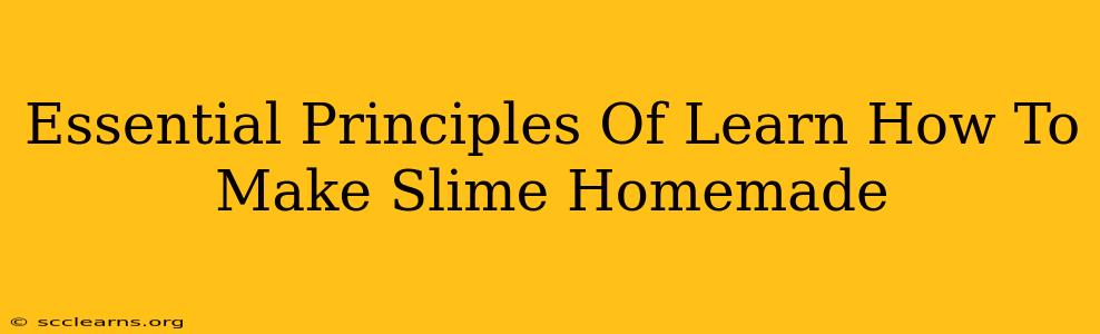 Essential Principles Of Learn How To Make Slime Homemade