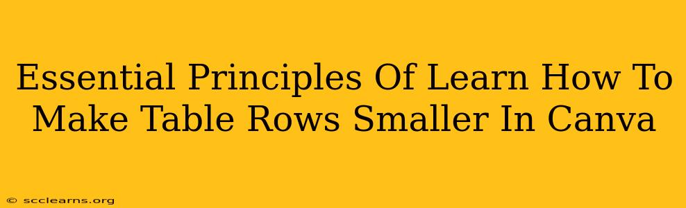 Essential Principles Of Learn How To Make Table Rows Smaller In Canva