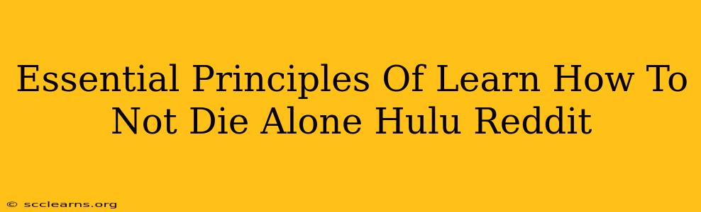 Essential Principles Of Learn How To Not Die Alone Hulu Reddit