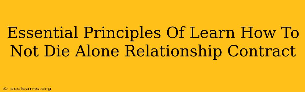 Essential Principles Of Learn How To Not Die Alone Relationship Contract