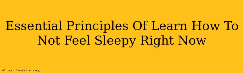 Essential Principles Of Learn How To Not Feel Sleepy Right Now