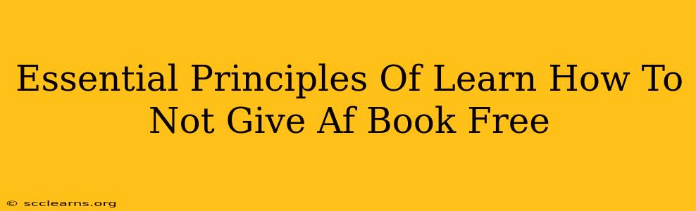 Essential Principles Of Learn How To Not Give Af Book Free