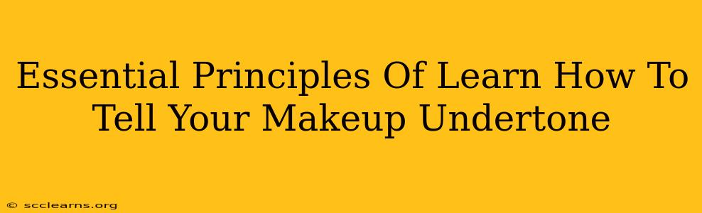 Essential Principles Of Learn How To Tell Your Makeup Undertone