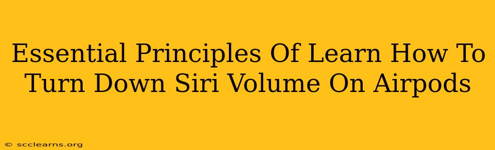 Essential Principles Of Learn How To Turn Down Siri Volume On Airpods