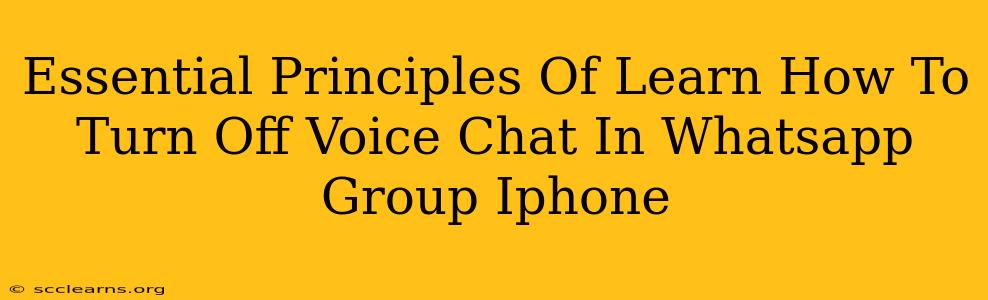 Essential Principles Of Learn How To Turn Off Voice Chat In Whatsapp Group Iphone