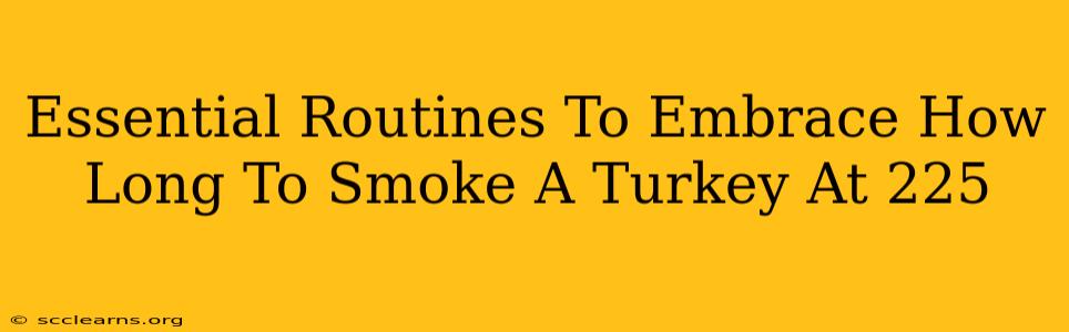 Essential Routines To Embrace How Long To Smoke A Turkey At 225