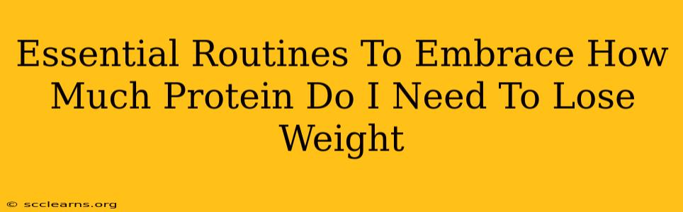 Essential Routines To Embrace How Much Protein Do I Need To Lose Weight